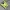 Sportswear Jersey Pria yellow photo 1