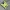 Sportswear Jersey Pria Yellow