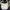 Ocean Pacific Sportswear Casual Hat Pria white photo 1