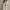 Ralph Lauren Authentic Logo Crest Blazer in Ivory photo 1