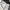 Ralph Lauren Authentic Logo Crest Blazer in Ivory photo 5