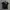 Norton Motorcycles Biker Polo shirt Pria black photo 2