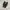 Vans authentic aja outdoor guard protection black photo 1