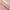 Outer photo 3