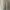 Evinrude Cream Harrington Jacket photo 4