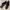 Schuh/slinkback photo 5