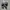 ADIDAS Posterize Basketball Replective photo 2