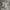 Nike v2k run silver metallic photo 1