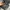 Asics gel nimbus 24 9 black gun metal photo 6