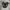 Asics gel nimbus 24 9 black gun metal photo 2