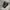 Nike air vapormax 360 green strike photo 1