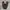 Vans randomevent x slipon 98 dx photo 3