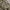 Cargo Pants Camouflage photo 3