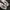 Nike Sportswear Sneakers Pria white gray photo 3