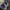 New Balance Sportswear Sneakers Pria white blue photo 3