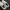 Nike Sportswear Sneakers Pria white photo 3