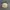 Kangol Vintage Casual Hat Pria cream photo 3