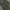 vintage dress photo 7