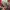 Vivienne Westwood Streetwear Y2K Wanita red photo 5