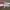 Vans Checkerboard Red photo 3