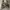 Vast rompi army big pocket photo 2