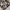 Vast rompi army big pocket photo 8