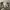 Vast rompi army big pocket photo 5