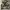 Vast rompi army big pocket photo 7