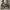 Vast rompi army big pocket photo 6