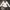 Coquette Casual Bandeau top Wanita white photo 1