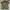 Polo Ralph Lauren Luxury Casual Polo shirt Pria green tan photo 2