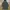 Cube Sugar Streetwear Parka Pria multicolor green photo 1