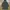 Cube Sugar Streetwear Parka Pria Multicolor Green