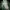 Cube Sugar Streetwear Parka Pria multicolor green photo 2