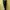 Spao Casual Sweatpants & Joggers Pria black photo 4