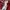Casual Sweatpants & Joggers Pria red photo 5