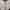 Vintage Crop top Wanita white photo 3