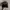 Harley Davidson Bergen Norway Ofc Hats photo 2