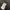 RALPH LAUREN Classic Fit Longshirt Shanghai Collar photo 8