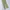 Dickies Casual Brief Pria khaki photo 3