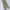 Dickies Casual Casual pants Pria khaki photo 3