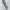 Dickies Casual Casual pants Pria khaki photo 4