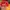 Vintage Hat Pria red photo 4