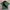 Casual Pria green photo 1