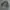 Rps knitwear basic textured pattern grandpa sweater photo 5