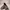 Casual Flat Wanita gray photo 1