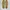 YSL Yves saint Laurent st Laurent Ferragamo Lanvin photo 6