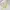 New Balance Streetwear Skater Sweatshirt Pria white yellow photo 1