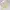 New Balance Streetwear Skater Sweatshirt Pria White Yellow