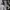 New Balance Streetwear Skater Sweatshirt Pria white yellow photo 3